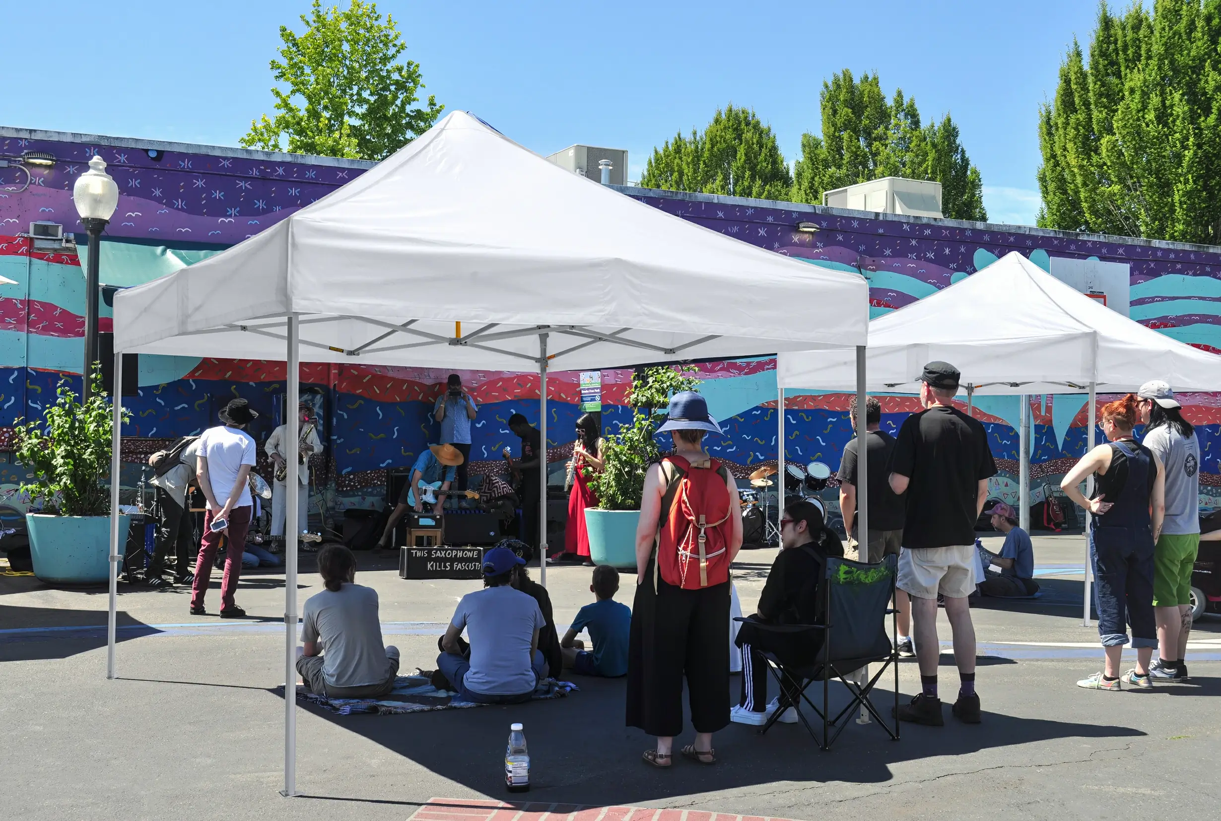 Custom canopy tent